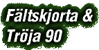 skjorta